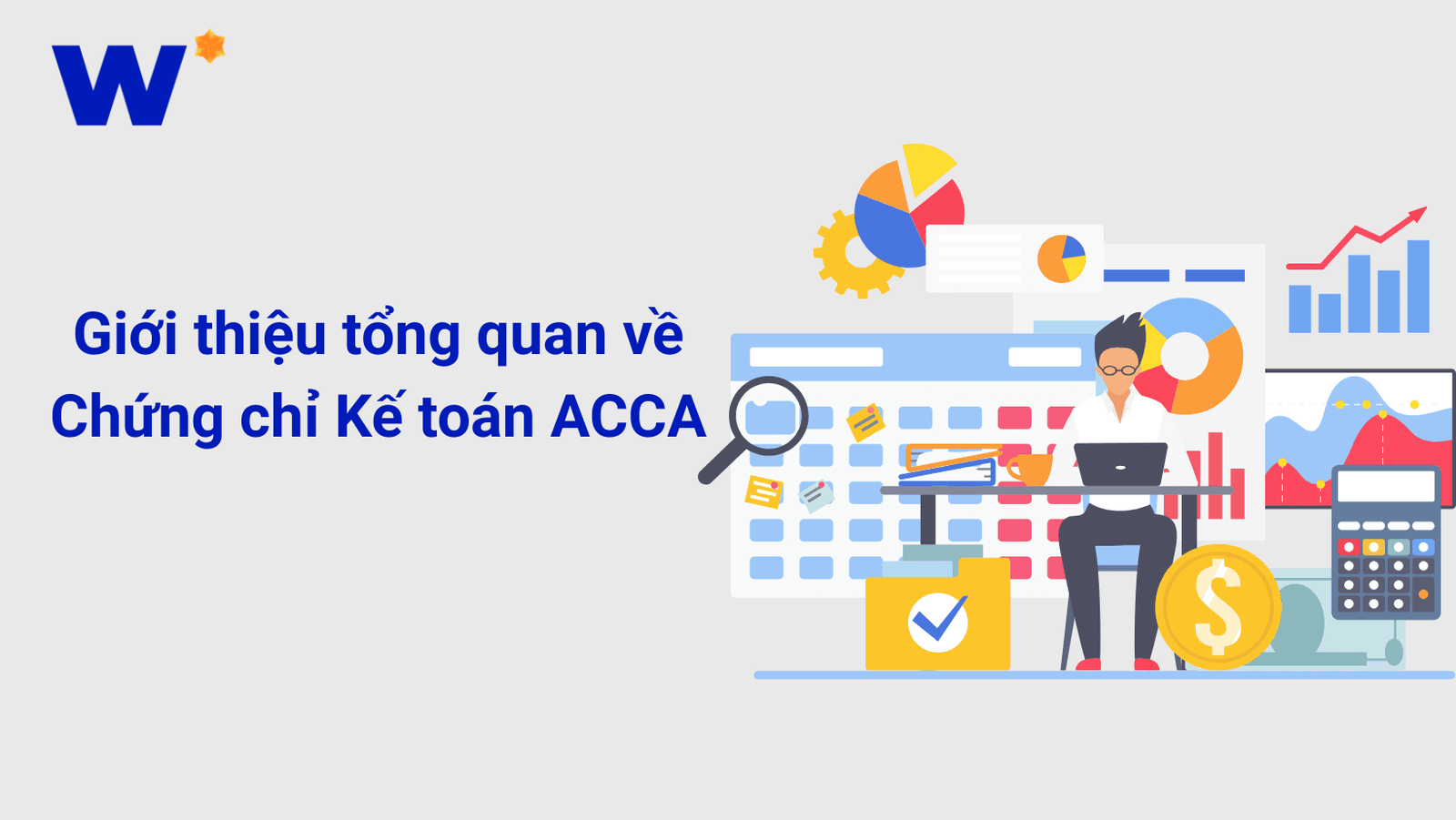 ACCA chứng chỉ cơ bản